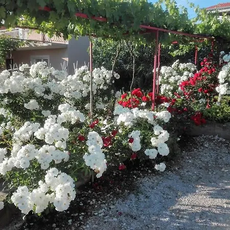 Sea And Sun Апартаменты *