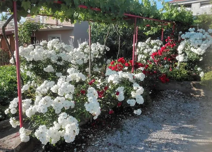 Sea And Sun Апартаменты *